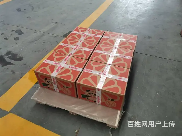 国内空运航空快递高铁快运 快6小时到达 - 图片 2