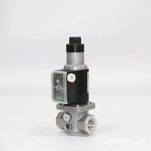 24V慢开电磁阀DEVSG20锅炉铝合金燃气电磁阀 - 图片 2