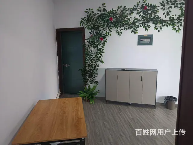 精装，扲包入住 - 图片 3