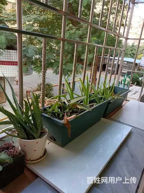 地铁房永升彩虹花园单身公寓1030包物业 - 图片 1