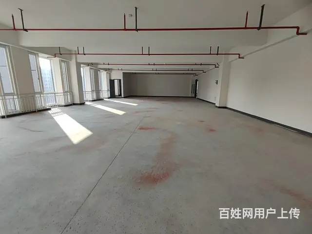 中豪桃源时代310方320方600方精装地铁口，特价1.3万 - 图片 11