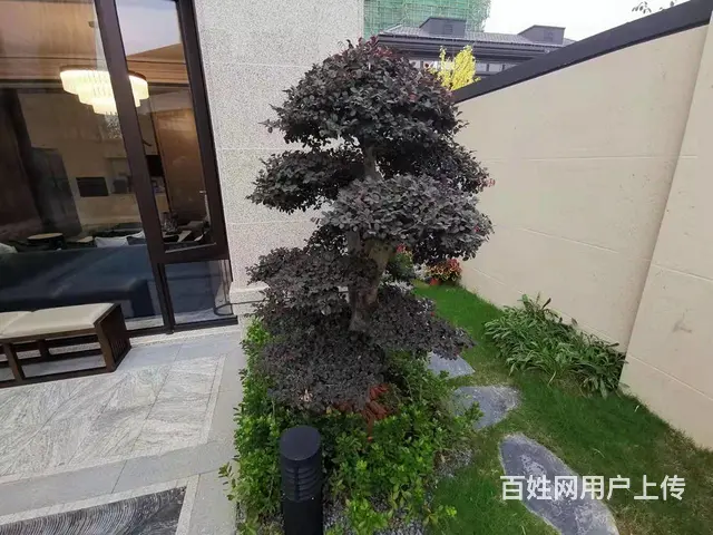 中都院子高端别墅，三层合院带院子，两个大露台 大师亲测过 - 图片 6