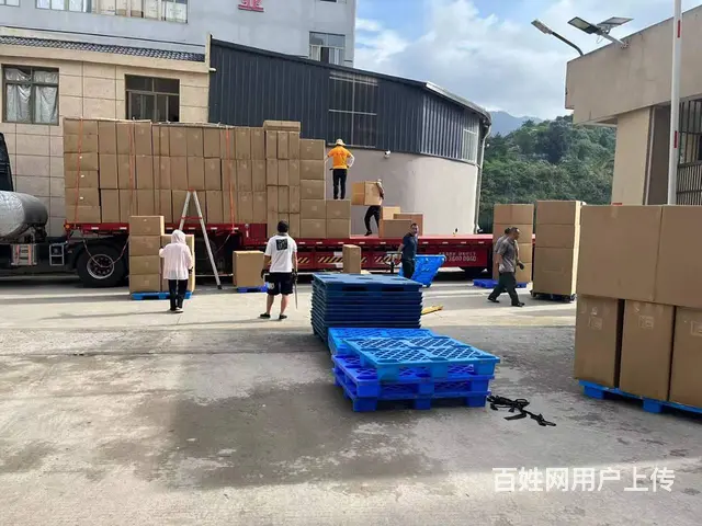 广州沙中太到香港物流运输 今发明到 香港集运 - 图片 5