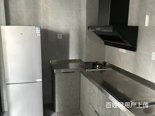 桃李郡 普通住宅2厅 精装修 - 图片 5