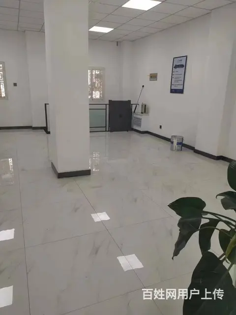 7954(七P）个人城中区文化街勤学巷临街商铺对外出租 - 图片 3