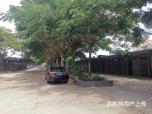 （51旺铺推荐）崖州区城东集荟美食商业综合体招商 - 图片 10