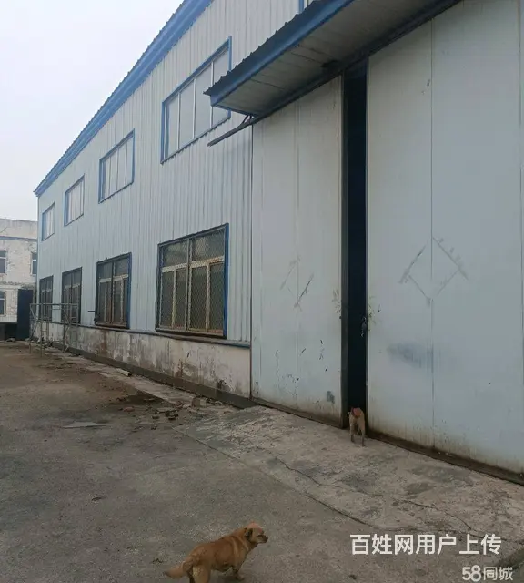 苏家屯600平厂房出租 - 图片 3