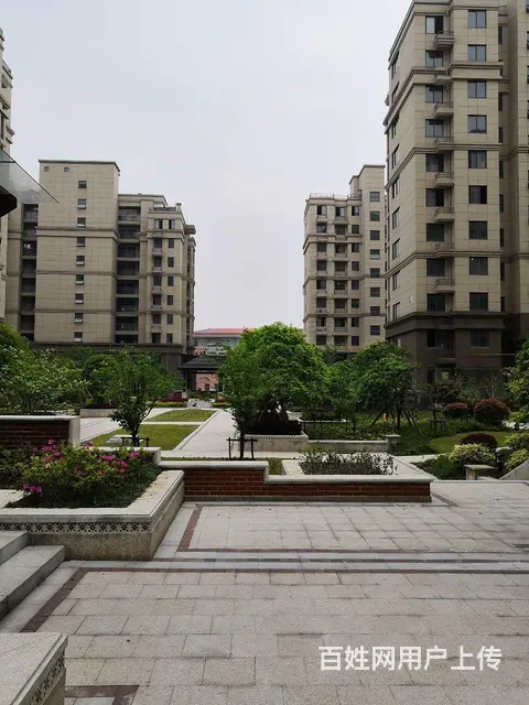 【搞定了！】个人出租袁花镇龙山景苑三室一厅精装修 - 图片 1