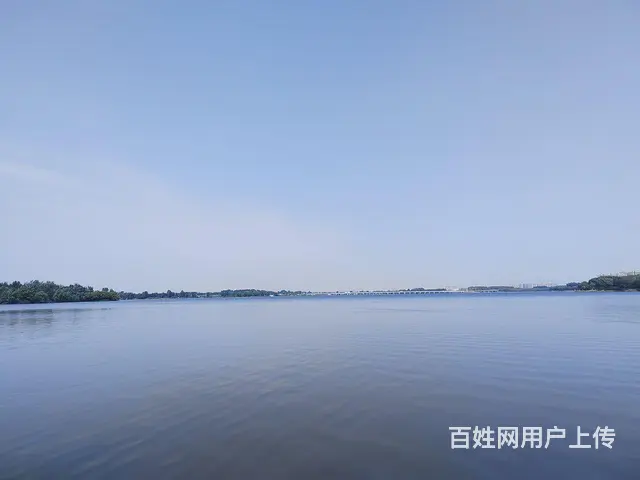 二手车过户 - 图片