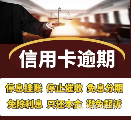 泰州网贷协商信用卡网贷协商还款个人债务重组法务公司 - 图片 2