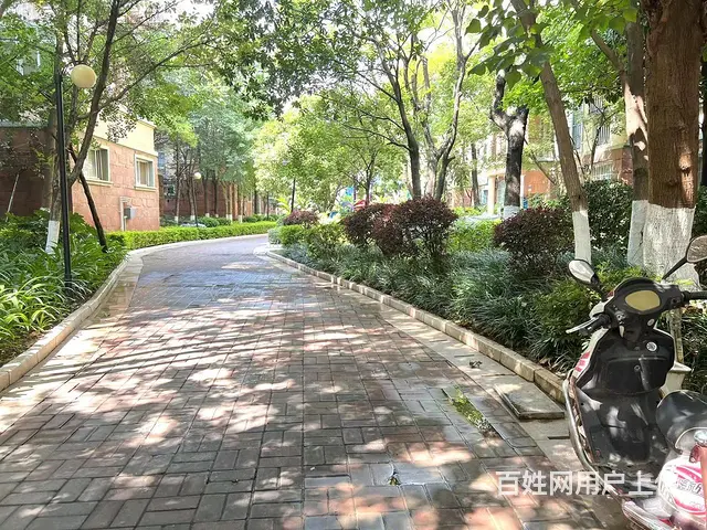 云大附中钟英学校旁 精装2房 干净整洁 随时看房体育城万景园 - 图片 11