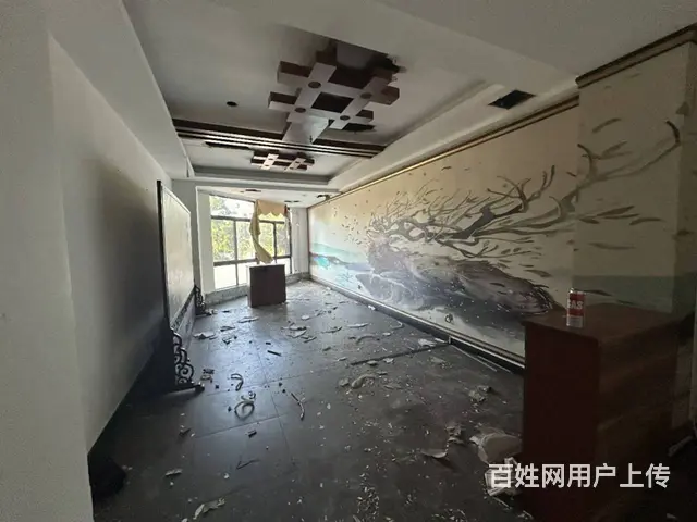 （51旺铺推荐）金垦路980平两间店铺可整租可分租 - 图片 9