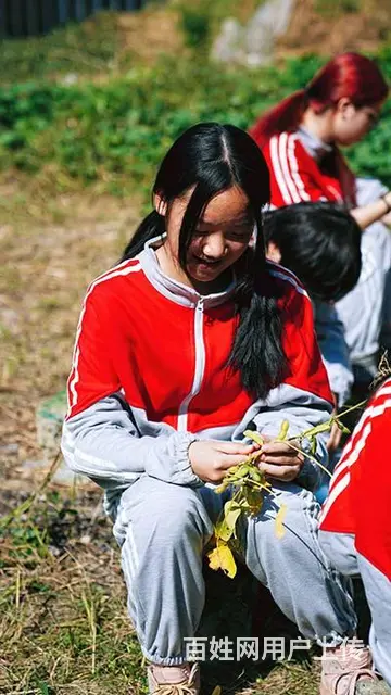 攀枝花问题少年特训全封闭学校 成长教育学校 - 图片 8