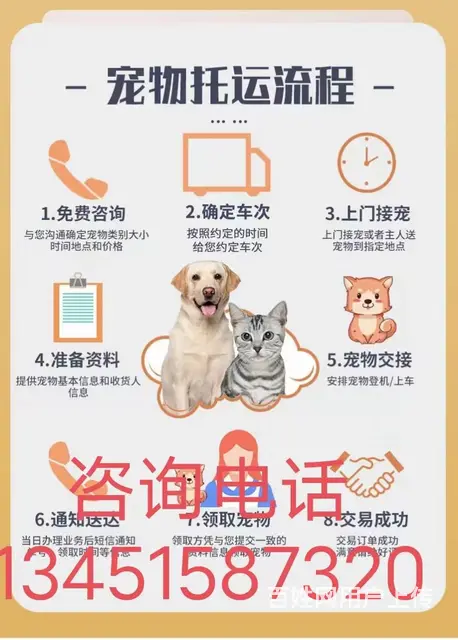 崇左宠物托运猫狗邮寄快递物流全国上门 - 图片 1