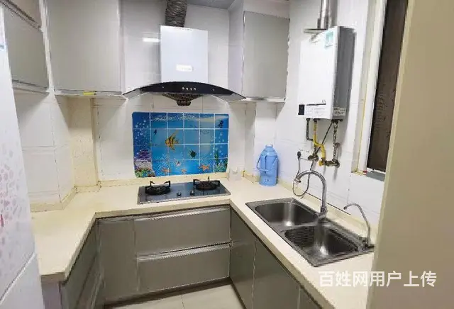 首付20万 ！绿地世纪城一期 刚需两房 家具家电齐全 - 图片 6