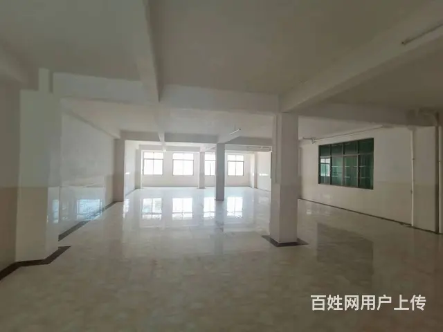 （51旺铺推荐）龙华区龙桥镇950平整栋出租 - 图片 3