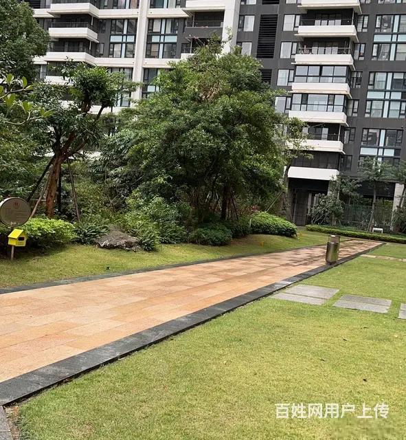 南湾区 华发商都旁 中信红树湾二期 住宅 1房 有阳台厨房 - 图片 8