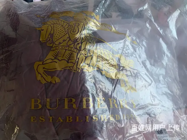 全新带吊牌Burberry巴宝莉双面穿菱格羽绒服 - 图片 8
