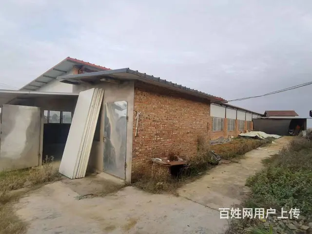 旺铺居）房东直租方水镇冻库，保鲜库，厂房仓库，养猪场 - 图片 10