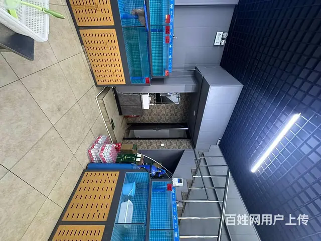【搞定了！】松北融创乐园旁边壹号湾海鲜烧烤吉兑 - 图片 8
