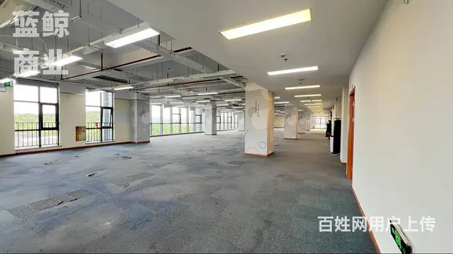 金龙湖附近 大平层 视野开阔 - 图片 2