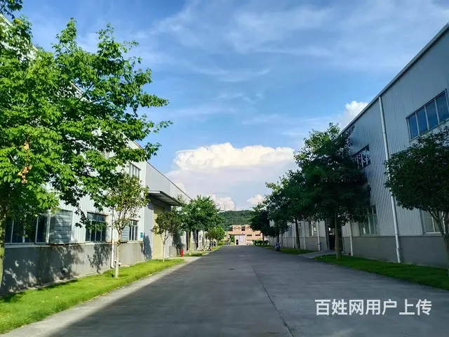 武江区沐溪一路6000方厂房招租可分租 - 图片 4