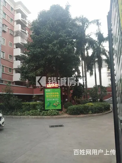 保税区 华美空间旁 嘉湖花园 精装修大4房 家电齐全 - 图片 10