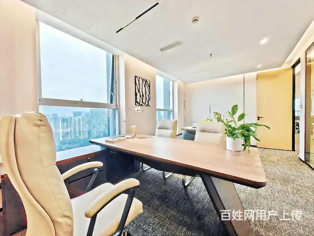 山鸟月中寒，梦醒平盛下。正大国际 豪华装修  业主急租！ - 图片 3