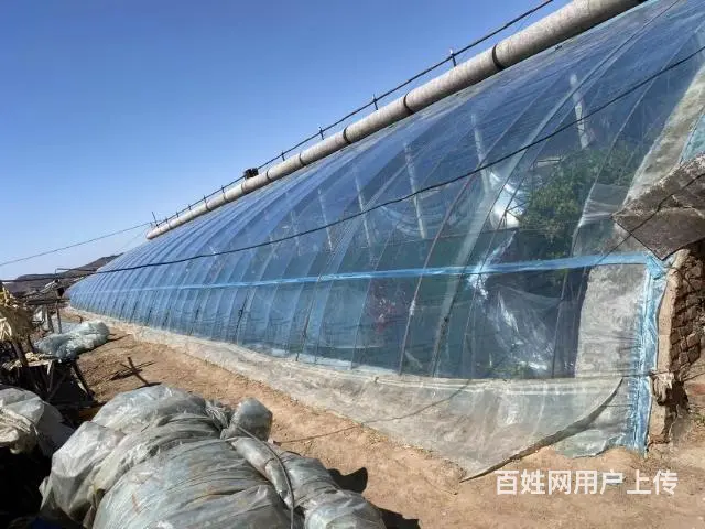俩棚要卖 - 图片 1