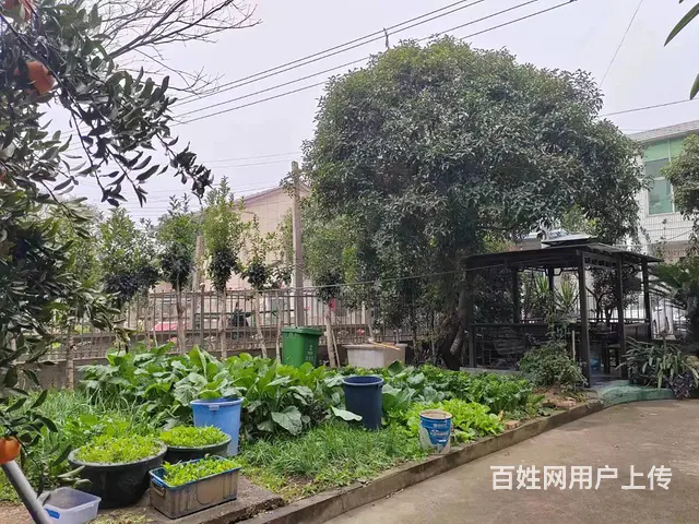 （老板本人）天心区大托铺整栋住房/办公楼房东优价出租5893 - 图片 5