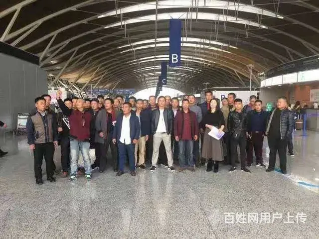 澳大利亚一新西兰一加拿大一月薪3万一保签 - 图片 9