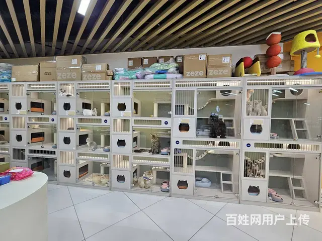 王府井宠物店出兑 商场内店铺出兑 - 图片 7