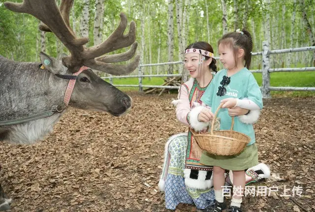 阿尔山旅游包车师傅价格，漠河旅游包车师傅价格 - 图片 2