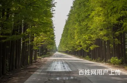 武汉万福净土陵园服务电话，武汉万福净土陵园购墓专车 - 图片 2