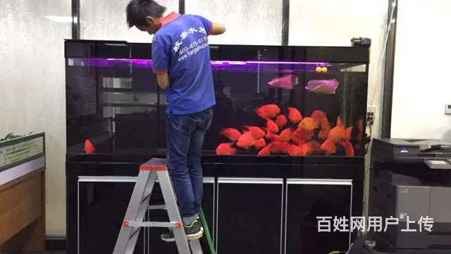 水簇服务 鱼缸换水清洗 鱼缸维修保养 - 图片 6