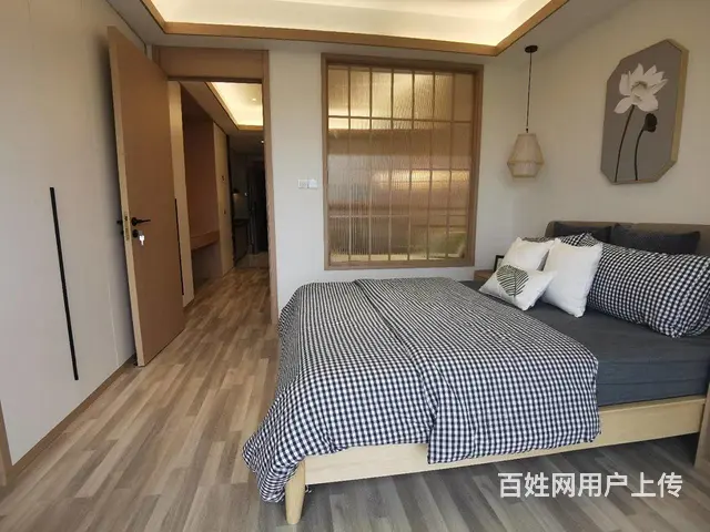 龙湖星图少量余房首付十几万现房民俗恐龙园景观房带独立厨卫阳台 - 图片 7