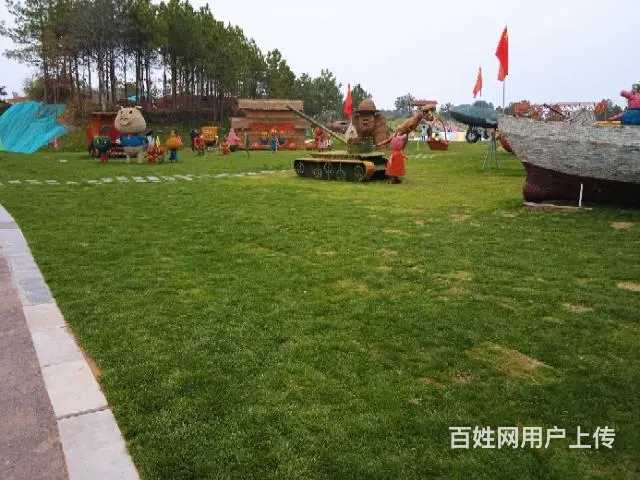 草批批发 - 图片 4