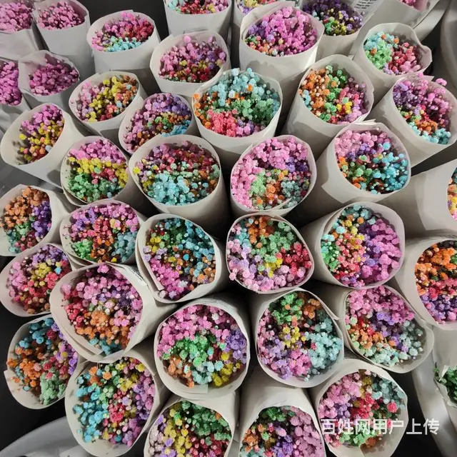 云南昆明斗南鲜花绿植盆栽基地批发一件代发 - 图片 9