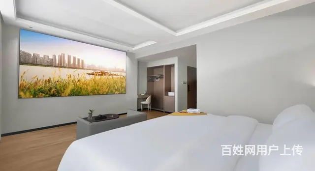 宁乡市政府全新精装品牌酒店低价转让 9722 - 图片 3