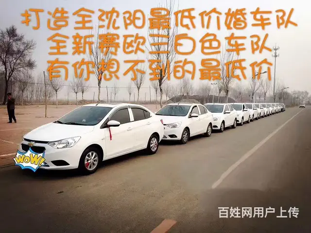 【环保礼炮出租＆雪佛兰车队】 - 图片 4