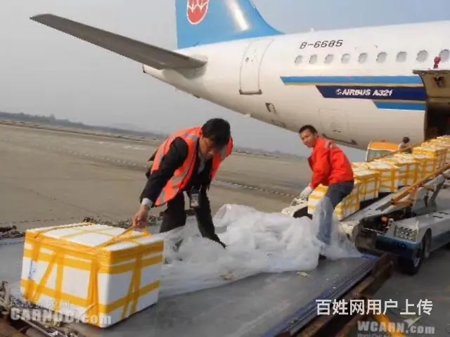 揭阳空运汕头空运潮州空运航空货运全国直飞3.5小时 - 图片 3