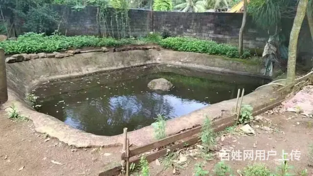 土地出租，6亩地分租，秀英区南海大道 - 图片 6