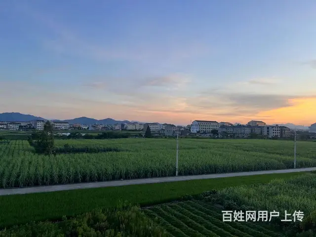 新河单间出租独立卫生间 - 图片 2