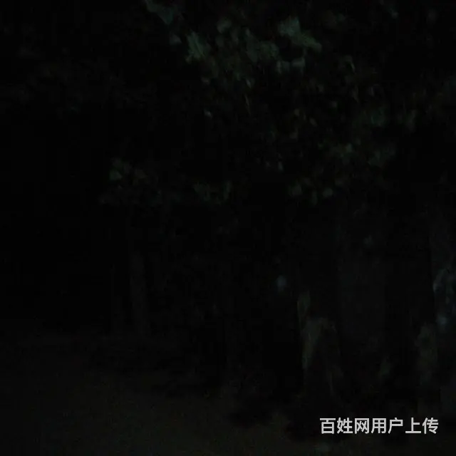 收各种树，木 - 图片