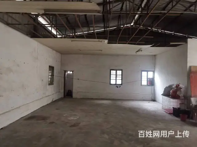 【搞定了！】马巷仓库出租 - 图片 3
