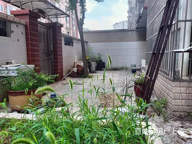 一楼带花园  南昌路  兴隆花园  精装双气 三室两厅 - 图片 10