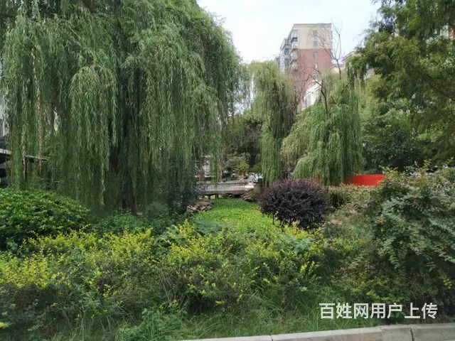 信合大道公园里对面六楼毛坯房南北通透仅售8万还送煤棚急售！ - 图片