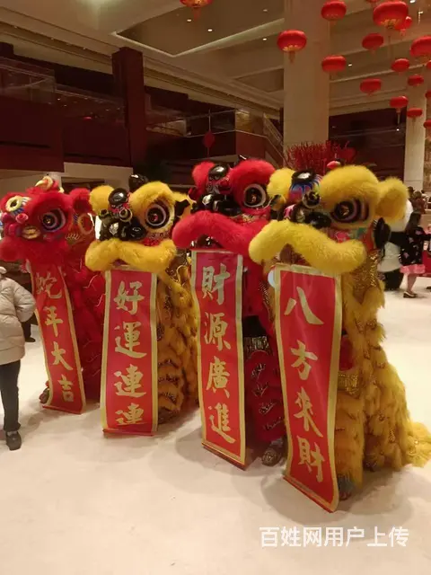 VR冲浪/VR滑雪，VR滑雪设备租赁，挑战极限滑雪 - 图片 12