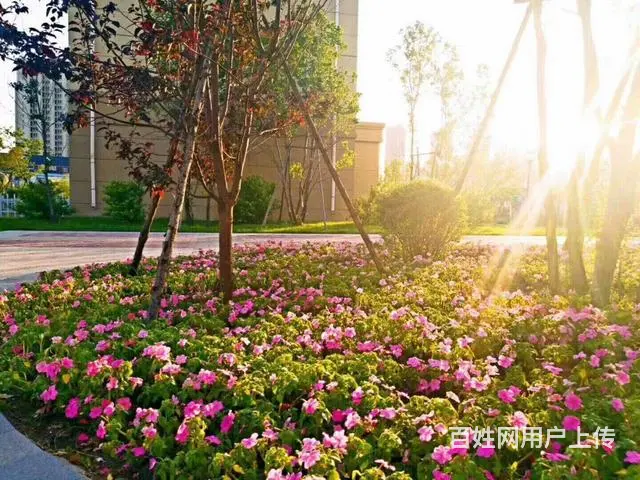 绿地香榭丽舍  低首付 H格局加1 毛坯现房 - 图片 3