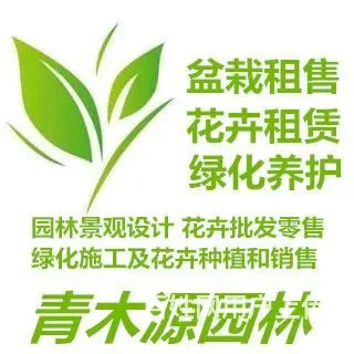 厦门鲜花绿植 办公室酒店室内外鲜花、绿植、花卉租摆 - 图片